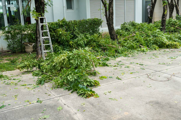 Best Tree Preservation Services  in Weatherford, OK